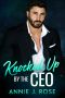 [Office Romances 02] • Knocked Up by the CEO